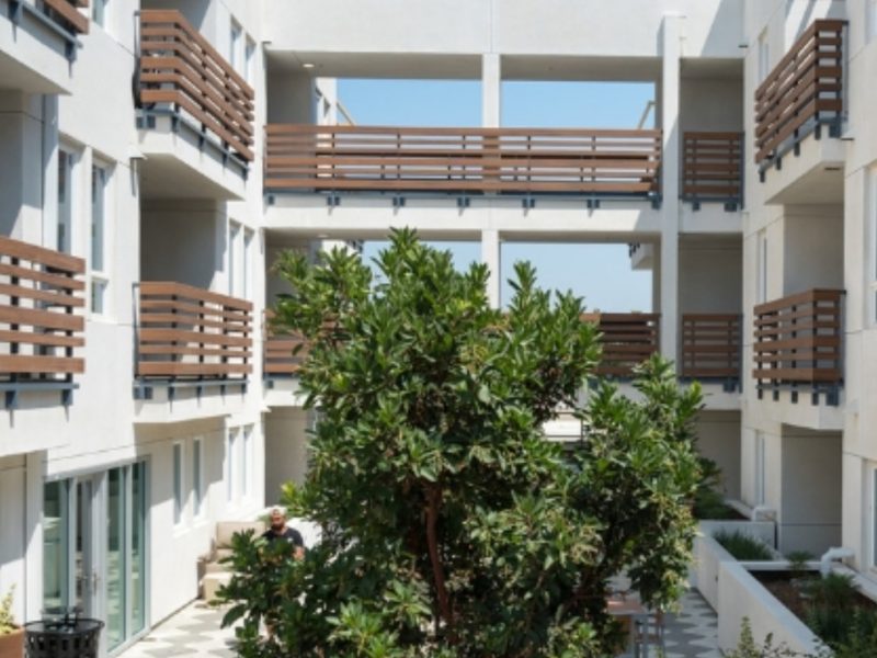 Untitled design (19)